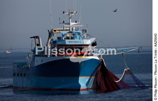Pêche à la sardine en baie de Concarneau - © Philip Plisson / Plisson La Trinité / AA25640 - Nos reportages photos - Type de pêche