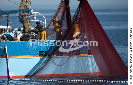 Sardine fishing in the bay of Concarneau - © Philip Plisson / Plisson La Trinité / AA25644 - Photo Galleries - Fishing nets