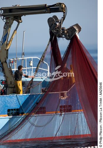 Pêche à la sardine en baie de Concarneau - © Philip Plisson / Plisson La Trinité / AA25646 - Nos reportages photos - Type de pêche