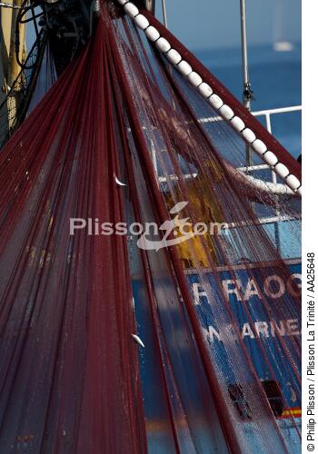 Pêche à la sardine en baie de Concarneau - © Philip Plisson / Plisson La Trinité / AA25648 - Nos reportages photos - Site [29]