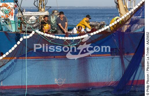 Pêche à la sardine en baie de Concarneau - © Philip Plisson / Plisson La Trinité / AA25652 - Nos reportages photos - Site [29]