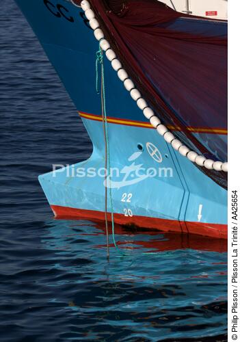 Pêche à la sardine en baie de Concarneau - © Philip Plisson / Plisson La Trinité / AA25654 - Nos reportages photos - Elément d'un bateau