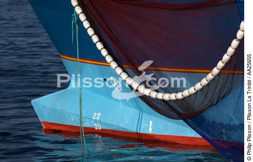 Pêche à la sardine en baie de Concarneau - © Philip Plisson / Plisson La Trinité / AA25655 - Nos reportages photos - Elément d'un bateau