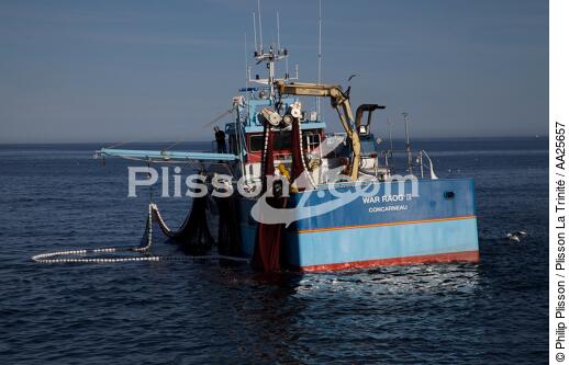 Pêche à la sardine en baie de Concarneau - © Philip Plisson / Plisson La Trinité / AA25657 - Nos reportages photos - Pêche à la sardine