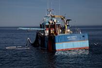 Pêche à la sardine en baie de Concarneau © Philip Plisson / Plisson La Trinité / AA25657 - Nos reportages photos - Site [29]