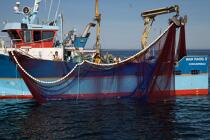 Pêche à la sardine en baie de Concarneau © Philip Plisson / Plisson La Trinité / AA25658 - Nos reportages photos - Site [29]