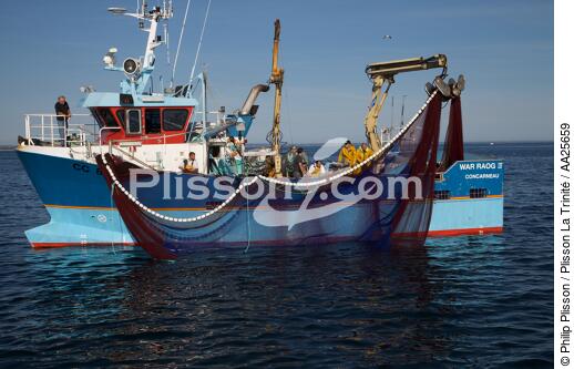 Pêche à la sardine en baie de Concarneau - © Philip Plisson / Plisson La Trinité / AA25659 - Nos reportages photos - Pêche à la senne