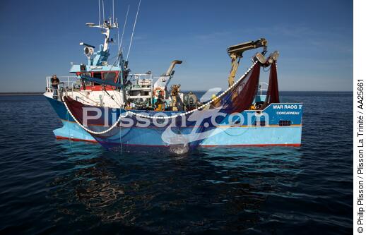 Pêche à la sardine en baie de Concarneau - © Philip Plisson / Plisson La Trinité / AA25661 - Nos reportages photos - Baie de Concarneau
