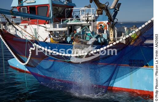 Pêche à la sardine en baie de Concarneau - © Philip Plisson / Plisson La Trinité / AA25663 - Nos reportages photos - Pêche à la senne