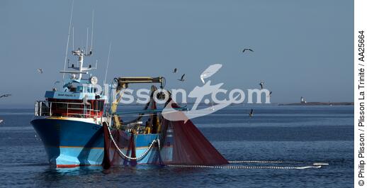 Pêche à la sardine en baie de Concarneau - © Philip Plisson / Plisson La Trinité / AA25664 - Nos reportages photos - Filet de pêche