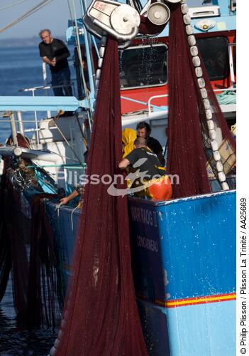 Sardine fishing in the bay of Concarneau - © Philip Plisson / Plisson La Trinité / AA25669 - Photo Galleries - Finistère