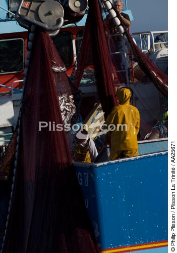 Pêche à la sardine en baie de Concarneau - © Philip Plisson / Plisson La Trinité / AA25671 - Nos reportages photos - Site [29]