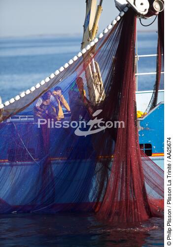 Pêche à la sardine en baie de Concarneau - © Philip Plisson / Plisson La Trinité / AA25674 - Nos reportages photos - Site [29]