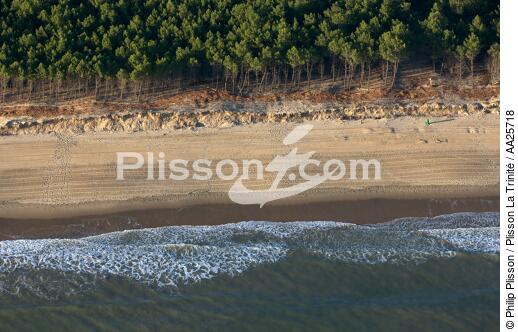 La Palmyre beach - © Philip Plisson / Plisson La Trinité / AA25718 - Photo Galleries - Forest