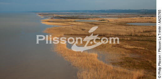 Mortagne sur Gironde - © Philip Plisson / Plisson La Trinité / AA25765 - Photo Galleries - River