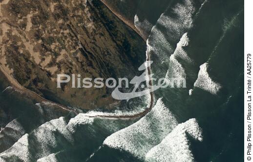 Ile d'Oléron - © Philip Plisson / Plisson La Trinité / AA25779 - Nos reportages photos - Pêcherie