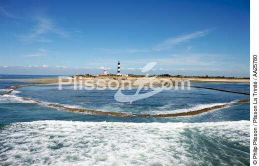 Oléron island - © Philip Plisson / Plisson La Trinité / AA25780 - Photo Galleries - Fishery