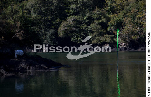 Odet river - © Philip Plisson / Plisson La Trinité / AA25838 - Photo Galleries - River