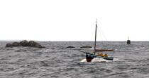 Pointe du Toulinguet © Philip Plisson / Plisson La Trinité / AA25858 - Nos reportages photos - Camaret-sur-Mer