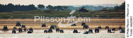 Cotentin, côte ouest, mise à l'eau des doris sur une plage. - © Philip Plisson / Plisson La Trinité / AA25951 - Nos reportages photos - Bateau à rames