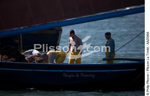 Coquiller en rade de Brest - © Philip Plisson / Plisson La Trinité / AA25966 - Nos reportages photos - Vue non aérienne