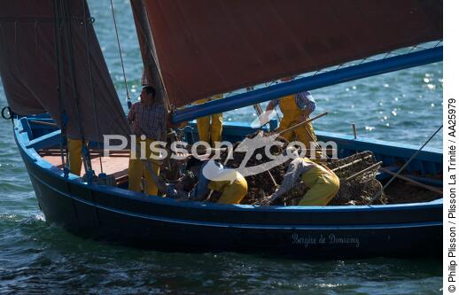 Coquiller en rade de Brest - © Philip Plisson / Plisson La Trinité / AA25979 - Nos reportages photos - Site [29]