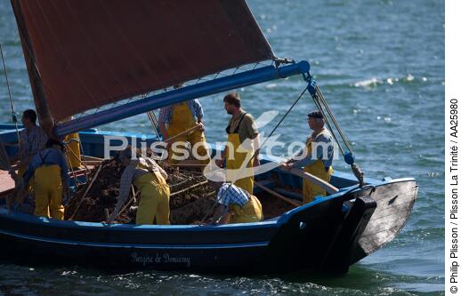 Shellfish vessel in Brest - © Philip Plisson / Plisson La Trinité / AA25980 - Photo Galleries - Crew