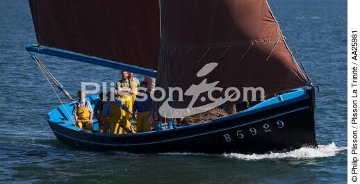 Coquiller en rade de Brest - © Philip Plisson / Plisson La Trinité / AA25981 - Nos reportages photos - Equipage