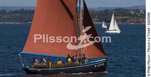 Coquiller en rade de Brest - © Philip Plisson / Plisson La Trinité / AA25988 - Nos reportages photos - Vue non aérienne