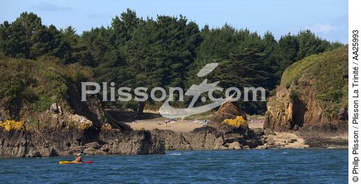 Pointe de Bindy en rade de Brest - © Philip Plisson / Plisson La Trinité / AA25993 - Nos reportages photos - Finistère