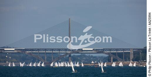 Regatta in Brest harbour - © Philip Plisson / Plisson La Trinité / AA25994 - Photo Galleries - Suspended bridge