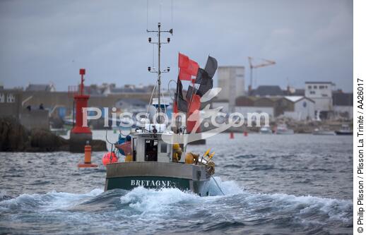 Retour de pêche à Saint-Guénolé. - © Philip Plisson / Plisson La Trinité / AA26017 - Nos reportages photos - Ville [29]