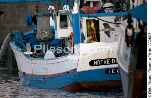 Saint-Guénolé. - © Philip Plisson / Plisson La Trinité / AA26027 - Nos reportages photos - De Brest à Loctudy