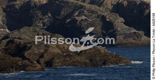 On the southern coast of Belle ile island - © Philip Plisson / Plisson La Trinité / AA26168 - Photo Galleries - Rock