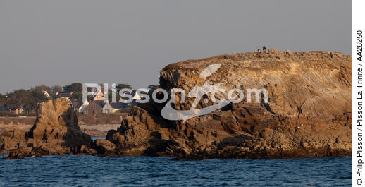 The Wild Coast of Quiberon. - © Philip Plisson / Plisson La Trinité / AA26250 - Photo Galleries - Wild coast