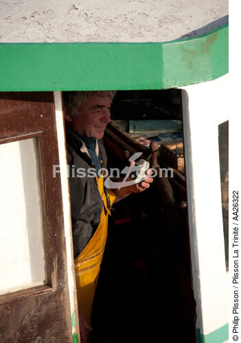 Trawler boat from Trinité - © Philip Plisson / Plisson La Trinité / AA26322 - Photo Galleries - Morbihan