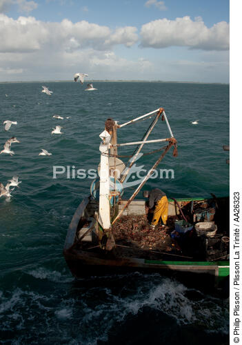 Trawler boat from Trinité - © Philip Plisson / Plisson La Trinité / AA26323 - Photo Galleries - Quiberon bay [The]