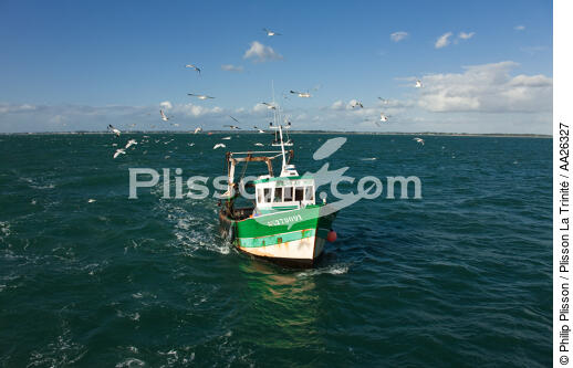Chalutier Trinitain - © Philip Plisson / Plisson La Trinité / AA26327 - Nos reportages photos - Pêcheur