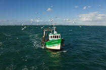 Trawler boat from Trinité © Philip Plisson / Plisson La Trinité / AA26327 - Photo Galleries - Job