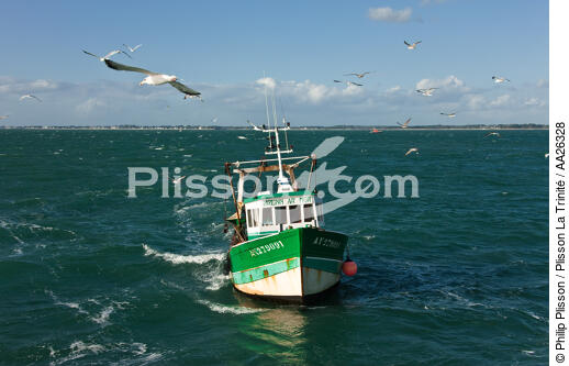 Trawler boat from Trinité - © Philip Plisson / Plisson La Trinité / AA26328 - Photo Galleries - Trawler