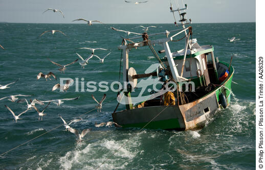 Trawler boat from Trinité - © Philip Plisson / Plisson La Trinité / AA26329 - Photo Galleries - Morbihan