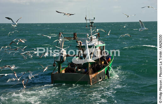 Chalutier Trinitain - © Philip Plisson / Plisson La Trinité / AA26330 - Nos reportages photos - Pêcheur