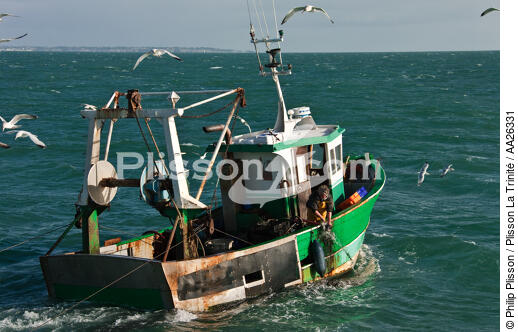 Trawler boat from Trinité - © Philip Plisson / Plisson La Trinité / AA26331 - Photo Galleries - Fisherman