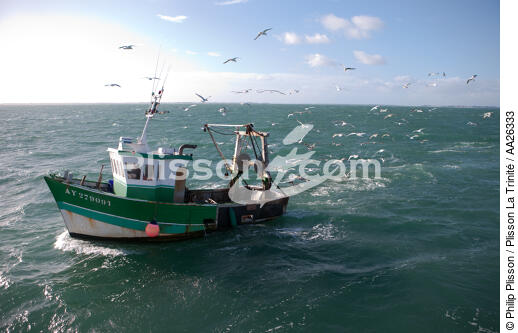 Trawler boat from Trinité - © Philip Plisson / Plisson La Trinité / AA26333 - Photo Galleries - Morbihan