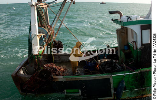 Trawler boat from la Trinité sur mer - © Philip Plisson / Plisson La Trinité / AA26336 - Photo Galleries - Fisherman