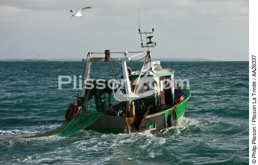Chalutier Trinitain - © Philip Plisson / Plisson La Trinité / AA26337 - Nos reportages photos - Pêche côtière