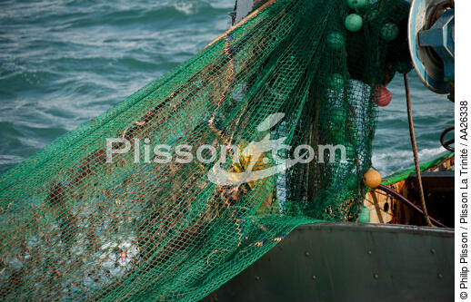 Trawler boat from la Trinité sur mer - © Philip Plisson / Plisson La Trinité / AA26338 - Photo Galleries - Quiberon bay [The]