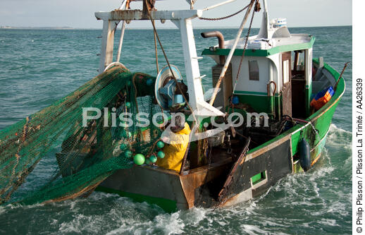 Chalutier Trinitain - © Philip Plisson / Plisson La Trinité / AA26339 - Nos reportages photos - Pêche côtière