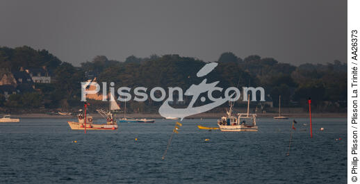 Bateaux de pêche à Sarzeau. - © Philip Plisson / Plisson La Trinité / AA26373 - Nos reportages photos - Sarzeau
