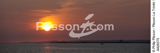 Sunset on Sarzeau. - © Philip Plisson / Plisson La Trinité / AA26375 - Photo Galleries - Sunset
